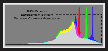 Optimum RGB Histogram in RAW Format (Sample)