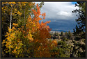 Fall color at Yellowstone